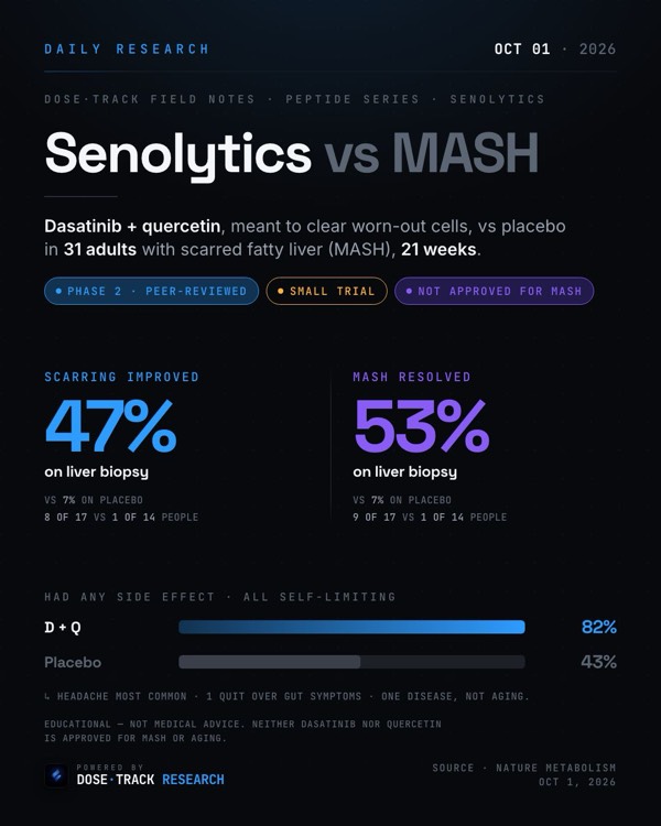 Research card: Senolytic combo improves liver scarring in a small randomized MASH trial
